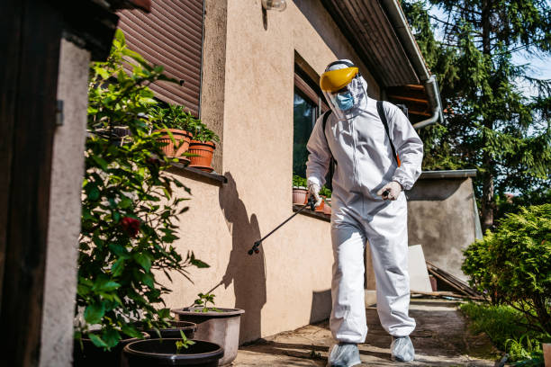 Best Pest Prevention Services  in Union Point, GA