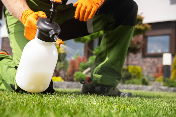 Pest Prevention Services in Union Point, GA