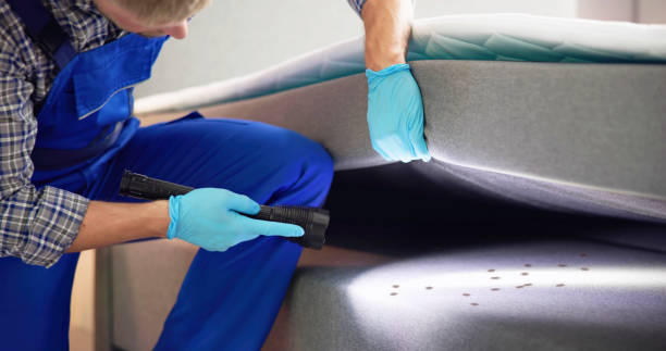 Best Pest Inspection Near Me  in Union Point, GA