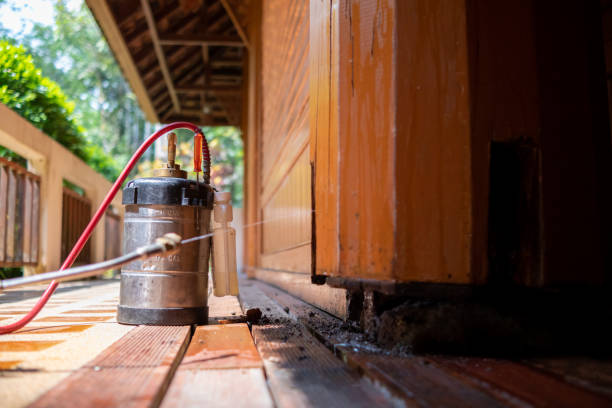 Best Affordable Pest Control Services  in Union Point, GA