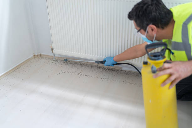 Best Best Pest Control Companies  in Union Point, GA