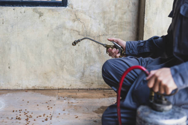 Best Rat Extermination Near Me  in Union Point, GA