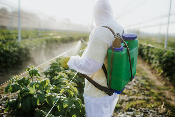 Trusted Union Point, GA Pest Control Experts